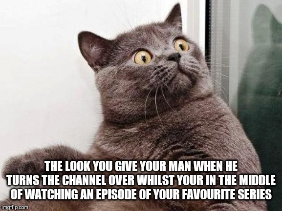 Surprised cat | THE LOOK YOU GIVE YOUR MAN WHEN HE TURNS THE CHANNEL OVER WHILST YOUR IN THE MIDDLE OF WATCHING AN EPISODE OF YOUR FAVOURITE SERIES | image tagged in surprised cat | made w/ Imgflip meme maker