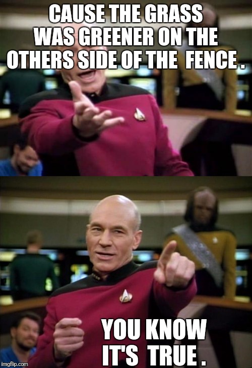 CAUSE THE GRASS WAS GREENER ON THE OTHERS SIDE OF THE  FENCE . YOU KNOW IT'S  TRUE . | image tagged in memes,picard wtf,picard | made w/ Imgflip meme maker