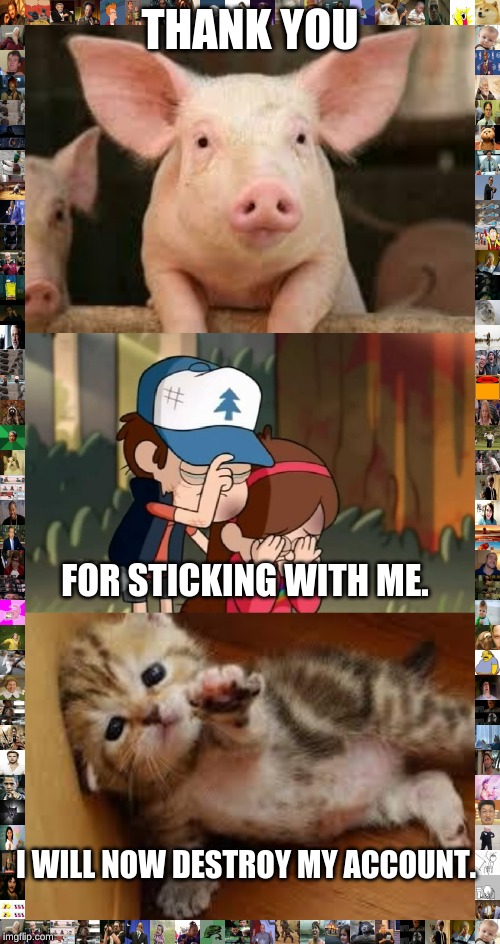 THANK YOU; FOR STICKING WITH ME. I WILL NOW DESTROY MY ACCOUNT. | image tagged in pig,sad kitten goodbye,gravity falls dipper and mabel sorrowful | made w/ Imgflip meme maker