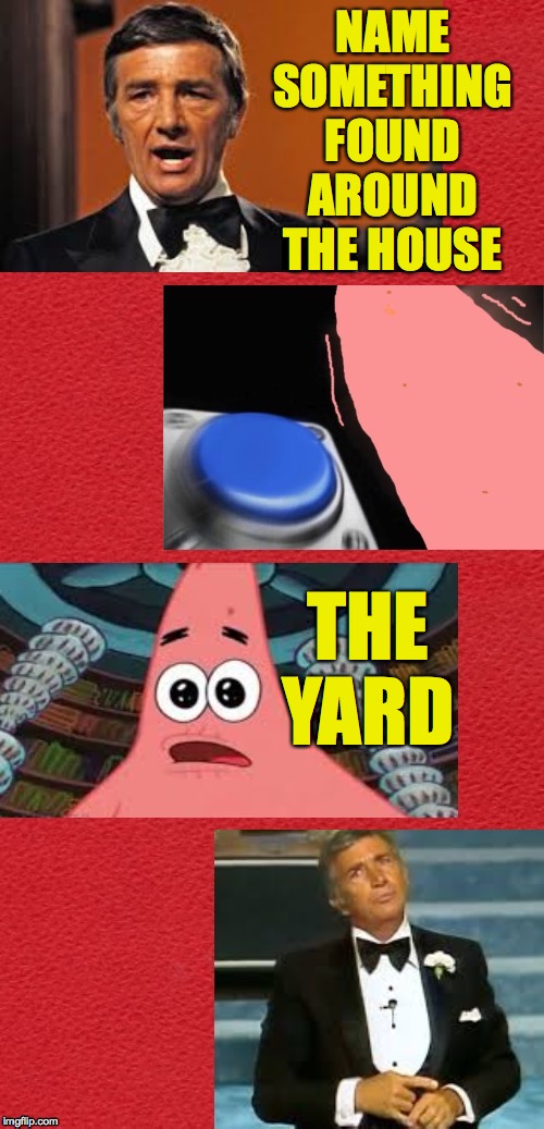 He's not wrong. | NAME SOMETHING FOUND AROUND THE HOUSE; THE YARD | image tagged in patrick star family feud,memes,he's not wrong | made w/ Imgflip meme maker