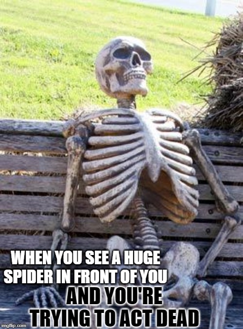 Waiting Skeleton | WHEN YOU SEE A HUGE SPIDER IN FRONT OF YOU; AND YOU'RE TRYING TO ACT DEAD | image tagged in memes,waiting skeleton,skulls | made w/ Imgflip meme maker