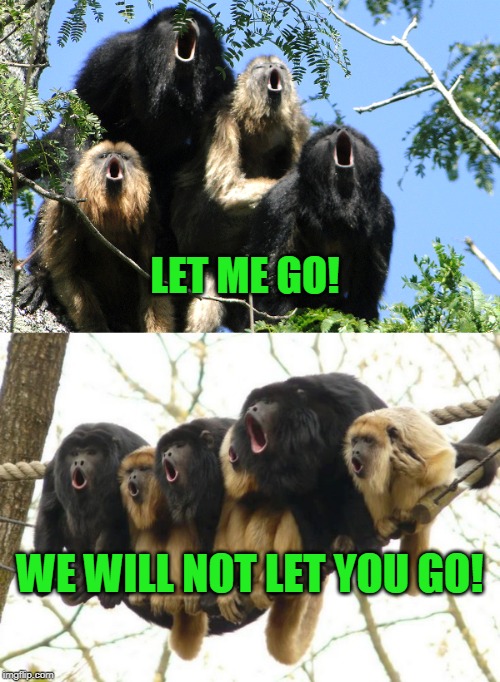 Me and the boys singing Queen for Me and the Boys week | LET ME GO! WE WILL NOT LET YOU GO! | image tagged in me and the boys week,nixieknox,cravenmoordik | made w/ Imgflip meme maker