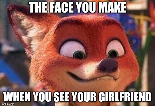 Nick's Happy Face | THE FACE YOU MAKE; WHEN YOU SEE YOUR GIRLFRIEND | image tagged in nick wilde cute fangs,zootopia,nick wilde,happy,funny,memes | made w/ Imgflip meme maker
