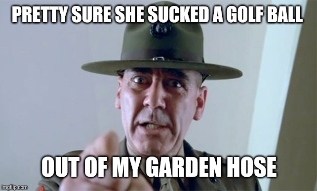 R. Lee Ermy  | PRETTY SURE SHE SUCKED A GOLF BALL OUT OF MY GARDEN HOSE | image tagged in r lee ermy | made w/ Imgflip meme maker