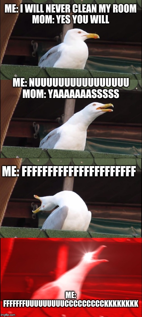 Inhaling Seagull Meme | ME: I WILL NEVER CLEAN MY ROOM
MOM: YES YOU WILL; ME: NUUUUUUUUUUUUUUUU
MOM: YAAAAAAASSSSS; ME: FFFFFFFFFFFFFFFFFFFFFF; ME: FFFFFFFUUUUUUUUUCCCCCCCCCKKKKKKKK | image tagged in memes,inhaling seagull | made w/ Imgflip meme maker