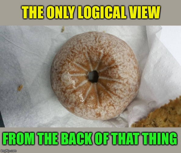 ass hole | THE ONLY LOGICAL VIEW FROM THE BACK OF THAT THING | image tagged in ass hole | made w/ Imgflip meme maker