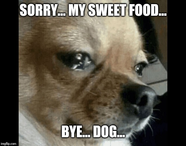 dog crying | SORRY... MY SWEET FOOD... BYE... DOG... | image tagged in dog crying | made w/ Imgflip meme maker