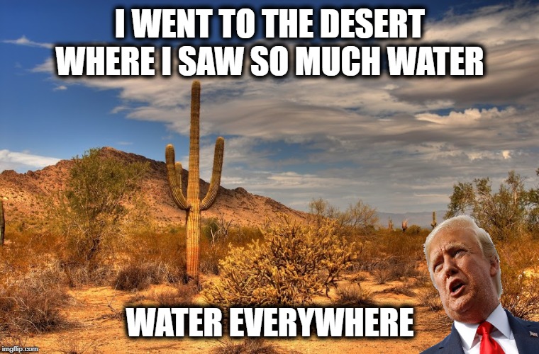 President Idiot | I WENT TO THE DESERT WHERE I SAW SO MUCH WATER; WATER EVERYWHERE | image tagged in president idiot | made w/ Imgflip meme maker