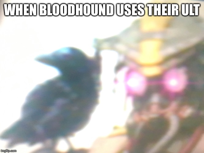 Bloodhound Mains be like | WHEN BLOODHOUND USES THEIR ULT | image tagged in apex legends,bloodhound,original | made w/ Imgflip meme maker