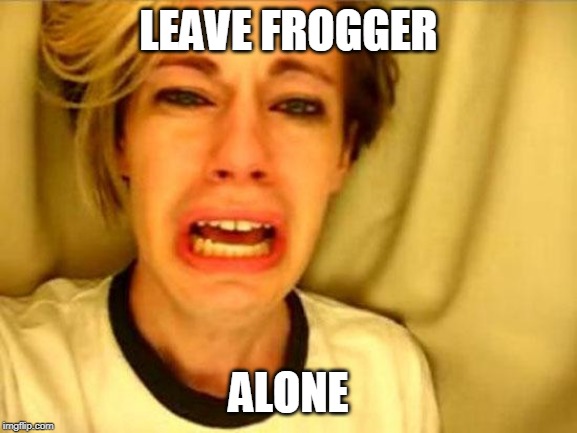 Leave Britney Alone | LEAVE FROGGER ALONE | image tagged in leave britney alone | made w/ Imgflip meme maker