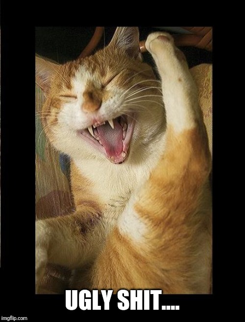 Laughing Cat | UGLY SHIT.... | image tagged in laughing cat | made w/ Imgflip meme maker