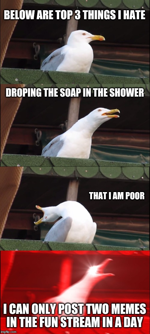 Inhaling Seagull | BELOW ARE TOP 3 THINGS I HATE; DROPING THE SOAP IN THE SHOWER; THAT I AM POOR; I CAN ONLY POST TWO MEMES IN THE FUN STREAM IN A DAY | image tagged in memes,inhaling seagull | made w/ Imgflip meme maker