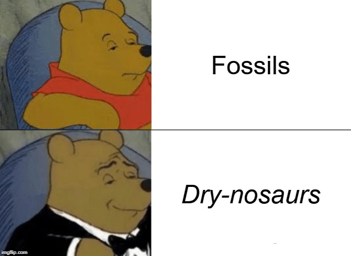 Tuxedo Winnie The Pooh | Fossils; Dry-nosaurs | image tagged in memes,tuxedo winnie the pooh | made w/ Imgflip meme maker