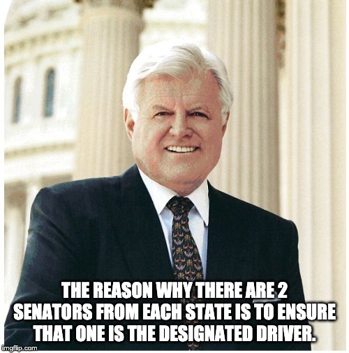 Ted Kennedy | THE REASON WHY THERE ARE 2 SENATORS FROM EACH STATE IS TO ENSURE THAT ONE IS THE DESIGNATED DRIVER. | image tagged in ted kennedy | made w/ Imgflip meme maker