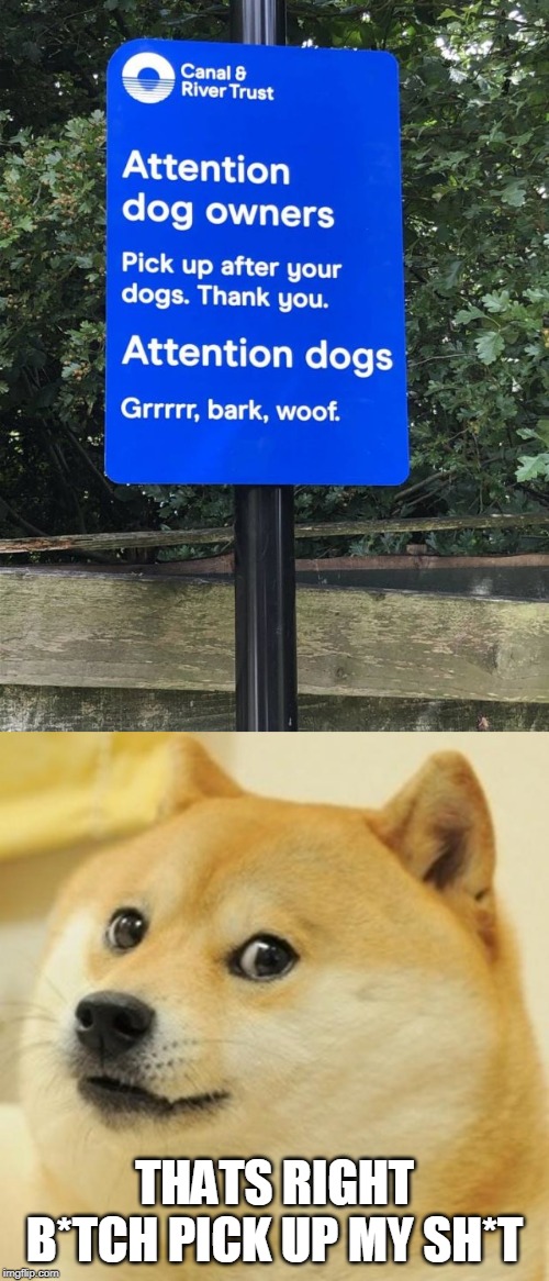 dogs | THATS RIGHT B*TCH PICK UP MY SH*T | image tagged in memes,doge | made w/ Imgflip meme maker