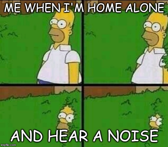 Homer Simpson Nope | ME WHEN I'M HOME ALONE; AND HEAR A NOISE | image tagged in homer simpson nope | made w/ Imgflip meme maker