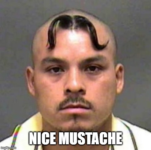 Mustache Haircut | NICE MUSTACHE | image tagged in mustache haircut | made w/ Imgflip meme maker