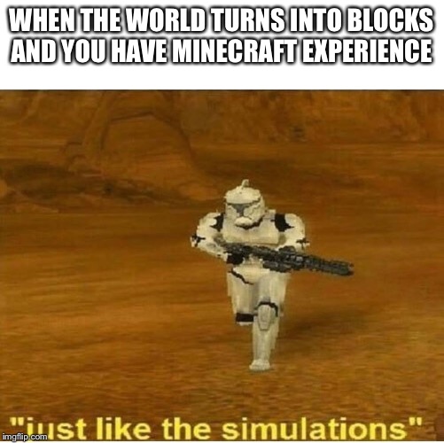 Just like the simulations | WHEN THE WORLD TURNS INTO BLOCKS AND YOU HAVE MINECRAFT EXPERIENCE | image tagged in just like the simulations | made w/ Imgflip meme maker