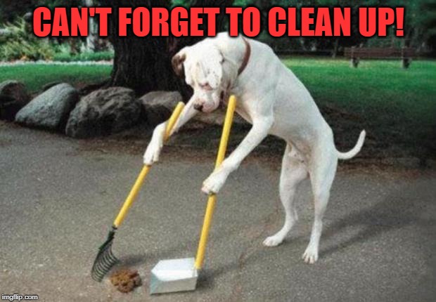 Dog poop | CAN'T FORGET TO CLEAN UP! | image tagged in dog poop | made w/ Imgflip meme maker