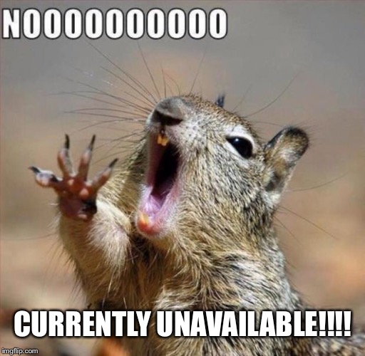 noooooooooooooooooooooooo | CURRENTLY UNAVAILABLE!!!! | image tagged in noooooooooooooooooooooooo | made w/ Imgflip meme maker