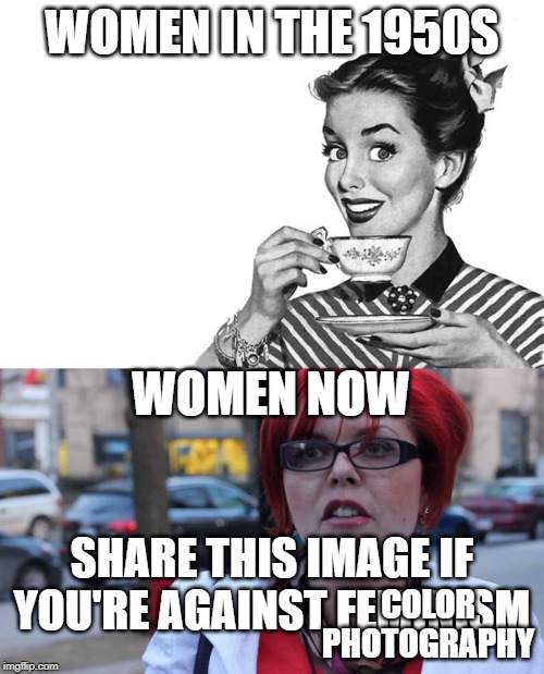 sadly, this is what our society has come to ?????? | WOMEN IN THE 1950S; WOMEN NOW; SHARE THIS IMAGE IF YOU'RE AGAINST FEMINISM; COLOR PHOTOGRAPHY | image tagged in feminazi,1950s housewife | made w/ Imgflip meme maker