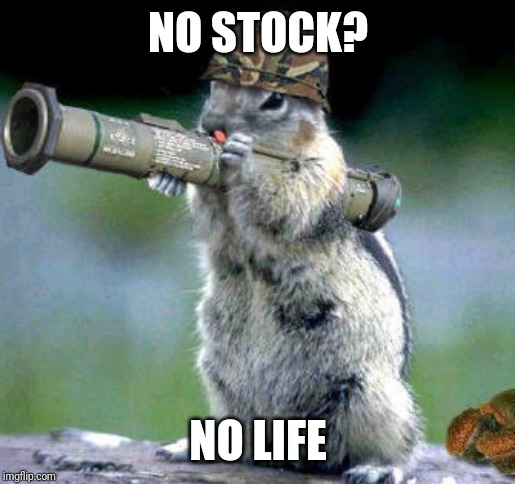 Bazooka Squirrel Meme | NO STOCK? NO LIFE | image tagged in memes,bazooka squirrel | made w/ Imgflip meme maker