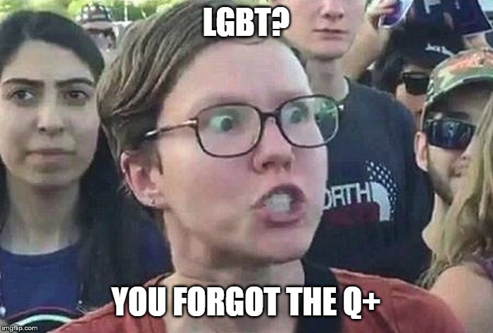 meme angry woman | LGBT? YOU FORGOT THE Q+ | image tagged in meme angry woman | made w/ Imgflip meme maker
