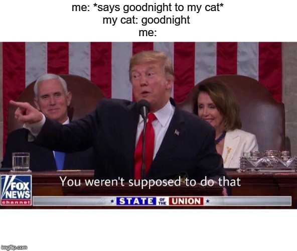 you werent supposed to do that | me: *says goodnight to my cat*
my cat: goodnight 
me: | image tagged in you werent supposed to do that | made w/ Imgflip meme maker