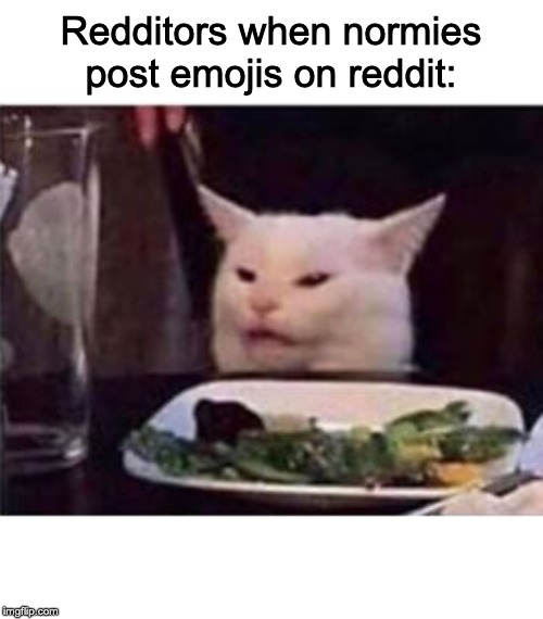 white dinner table cat | Redditors when normies post emojis on reddit: | image tagged in white dinner table cat | made w/ Imgflip meme maker