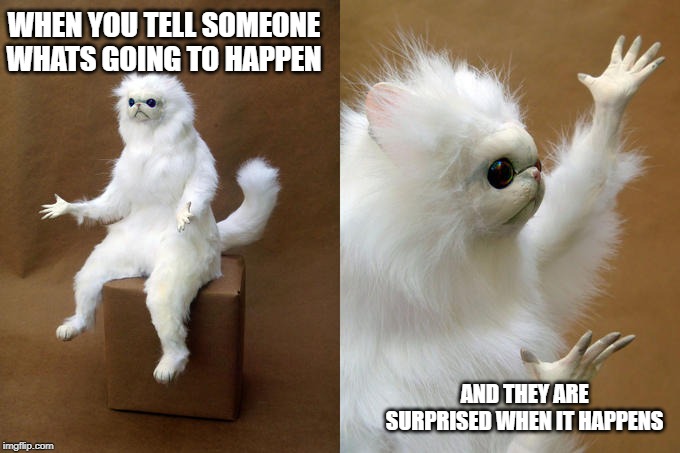 Persian Cat Room Guardian | WHEN YOU TELL SOMEONE WHATS GOING TO HAPPEN; AND THEY ARE SURPRISED WHEN IT HAPPENS | image tagged in memes,persian cat room guardian | made w/ Imgflip meme maker