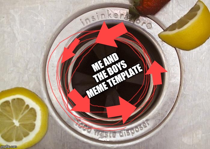 Want Your Garbage Disposal to Work Better? |  ME AND THE BOYS MEME TEMPLATE | image tagged in want your garbage disposal to work better | made w/ Imgflip meme maker