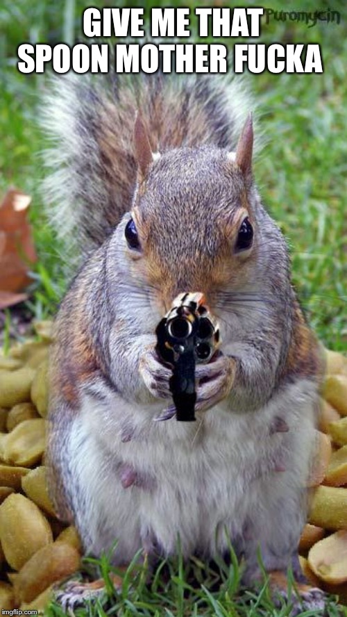 funny squirrels with guns (5) | GIVE ME THAT SPOON MOTHER F**KA | image tagged in funny squirrels with guns 5 | made w/ Imgflip meme maker