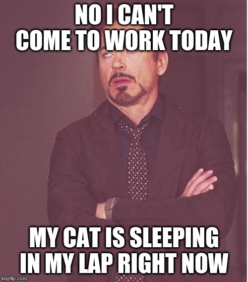 What the cat want, the cat gets. | NO I CAN'T COME TO WORK TODAY; MY CAT IS SLEEPING IN MY LAP RIGHT NOW | image tagged in memes,face you make robert downey jr | made w/ Imgflip meme maker