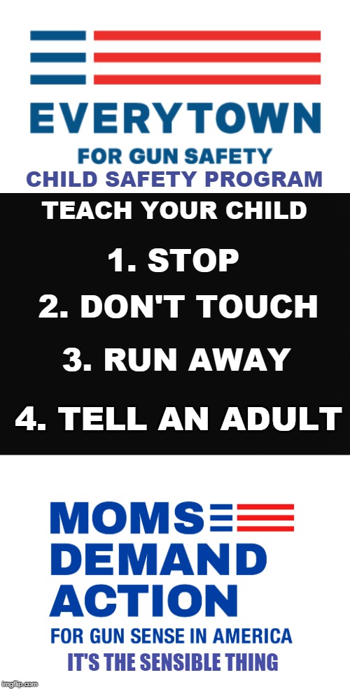 CHILD SAFETY PROGRAM; TEACH YOUR CHILD; 1. STOP; 2. DON'T TOUCH; 3. RUN AWAY; 4. TELL AN ADULT; IT'S THE SENSIBLE THING | image tagged in gun safety rules | made w/ Imgflip meme maker