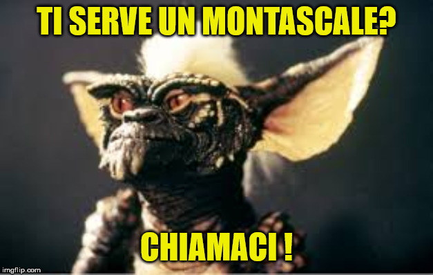 TI SERVE UN MONTASCALE? CHIAMACI ! | image tagged in gremlins | made w/ Imgflip meme maker