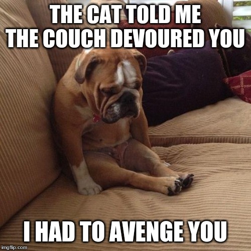 sad dog | THE CAT TOLD ME THE COUCH DEVOURED YOU I HAD TO AVENGE YOU | image tagged in sad dog | made w/ Imgflip meme maker