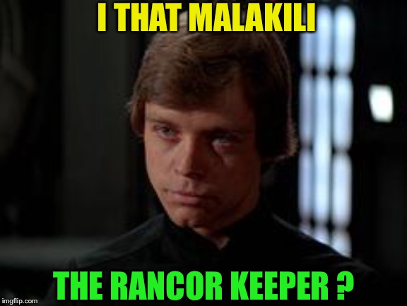 Luke Skywalker | I THAT MALAKILI THE RANCOR KEEPER ? | image tagged in luke skywalker | made w/ Imgflip meme maker