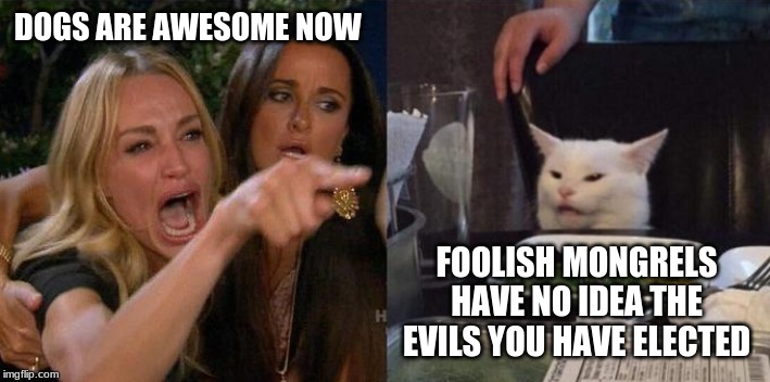Girl screaming at cat | DOGS ARE AWESOME NOW FOOLISH MONGRELS HAVE NO IDEA THE EVILS YOU HAVE ELECTED | image tagged in girl screaming at cat | made w/ Imgflip meme maker