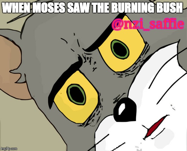 Unsettled Tom Meme | WHEN MOSES SAW THE BURNING BUSH; @nzi_saffie | image tagged in memes,jying,coffee,black girl wat,bae happy dance | made w/ Imgflip meme maker