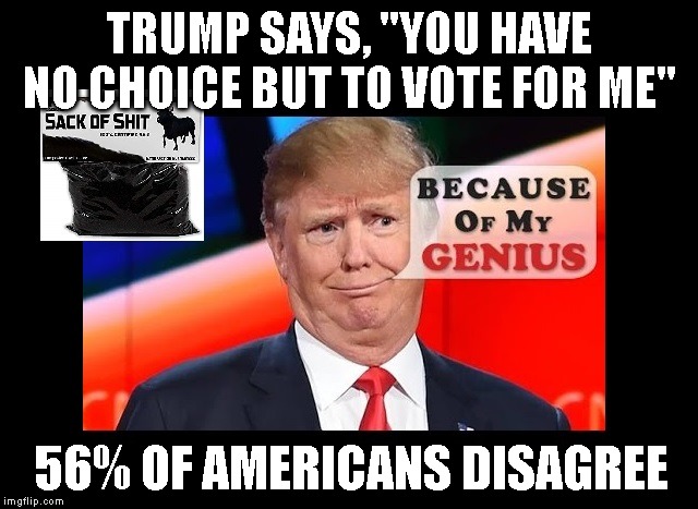 Liar, Liar, Brains on Fire! | TRUMP SAYS, "YOU HAVE NO CHOICE BUT TO VOTE FOR ME"; 56% OF AMERICANS DISAGREE | image tagged in liar,impeach trump,anyone but trump 2020,game over,donald trump is an idiot | made w/ Imgflip meme maker