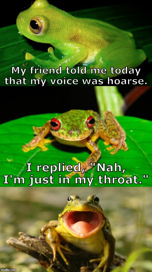 Bad Pun Frog | My friend told me today that my voice was hoarse. I replied, "Nah, I'm just in my throat." | image tagged in bad pun frog | made w/ Imgflip meme maker