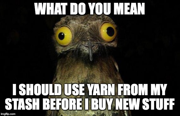 Weird Stuff I Do Potoo | WHAT DO YOU MEAN; I SHOULD USE YARN FROM MY STASH BEFORE I BUY NEW STUFF | image tagged in memes,weird stuff i do potoo | made w/ Imgflip meme maker
