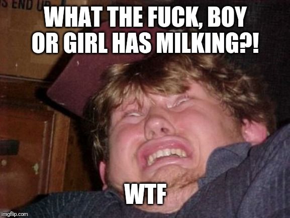 WTF Meme | WHAT THE F**K, BOY OR GIRL HAS MILKING?! WTF | image tagged in memes,wtf | made w/ Imgflip meme maker