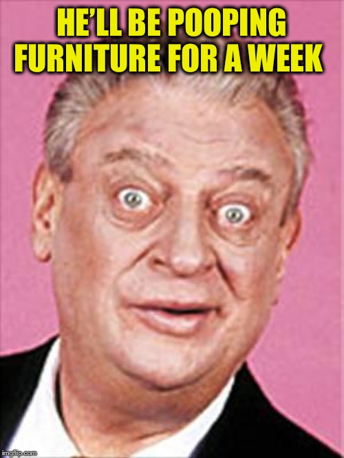 rodney dangerfield | HE’LL BE POOPING FURNITURE FOR A WEEK | image tagged in rodney dangerfield | made w/ Imgflip meme maker
