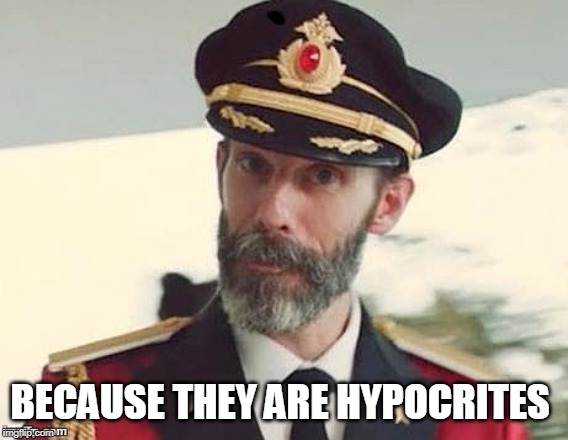 Captain Obvious | BECAUSE THEY ARE HYPOCRITES | image tagged in captain obvious | made w/ Imgflip meme maker