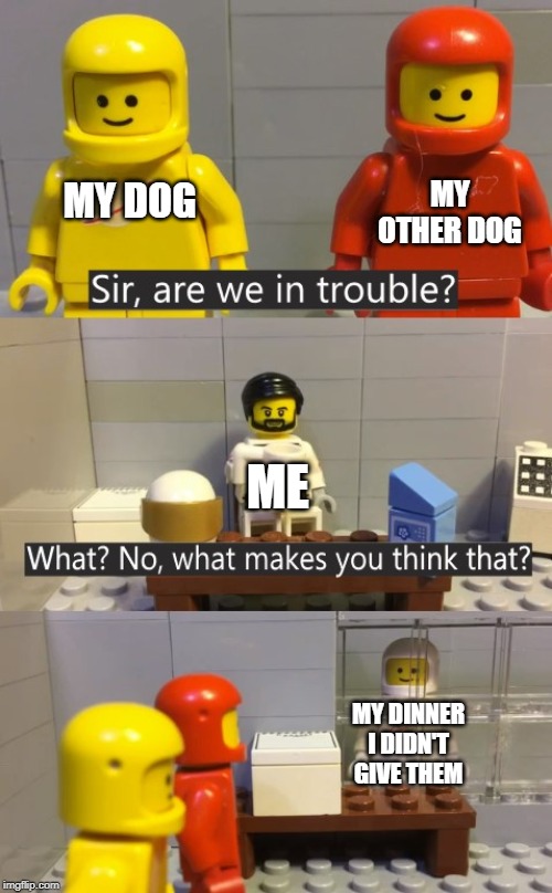 Are We In Trouble | MY OTHER DOG; MY DOG; ME; MY DINNER I DIDN'T GIVE THEM | image tagged in are we in trouble | made w/ Imgflip meme maker