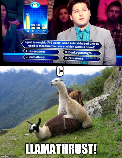 DONT LISTEN TO THE AUDIENCE |  C; LLAMATHRUST! | image tagged in memes,llama,llamas,who wants to be a millionaire | made w/ Imgflip meme maker