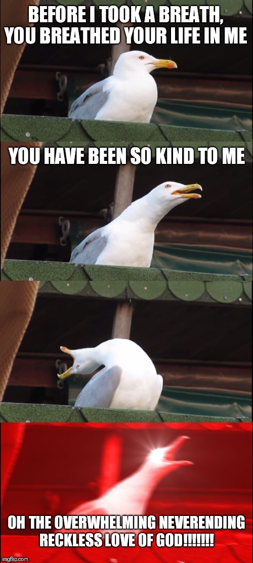 Inhaling Seagull | BEFORE I TOOK A BREATH, YOU BREATHED YOUR LIFE IN ME; YOU HAVE BEEN SO KIND TO ME; OH THE OVERWHELMING NEVERENDING RECKLESS LOVE OF GOD!!!!!!! | image tagged in memes,inhaling seagull | made w/ Imgflip meme maker