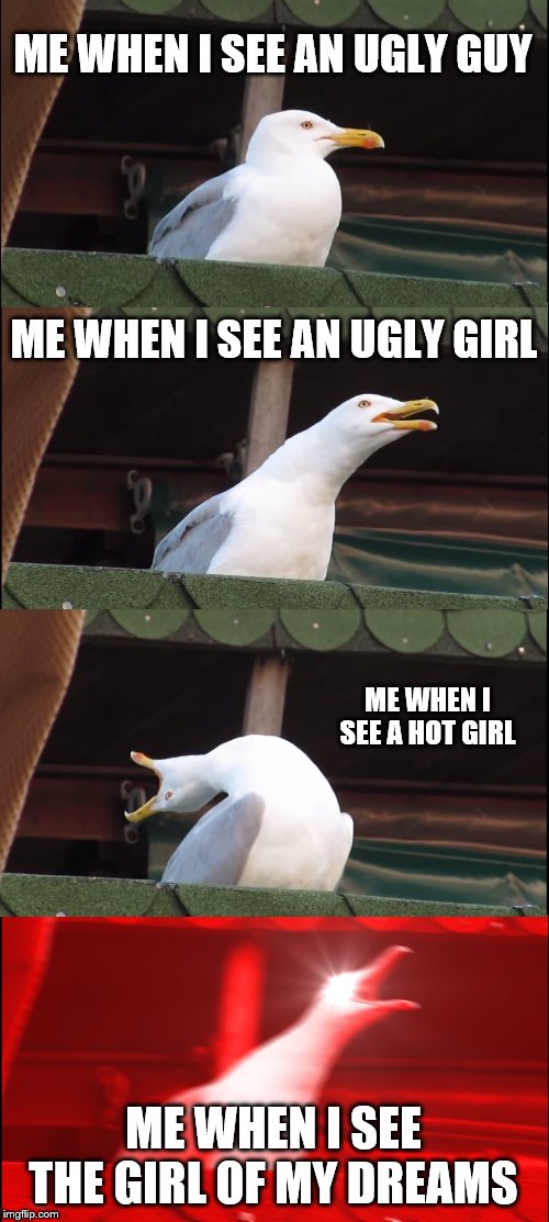 Inhaling Seagull | ME WHEN I SEE AN UGLY GUY; ME WHEN I SEE AN UGLY GIRL; ME WHEN I SEE A HOT GIRL; ME WHEN I SEE THE GIRL OF MY DREAMS | image tagged in memes,inhaling seagull | made w/ Imgflip meme maker