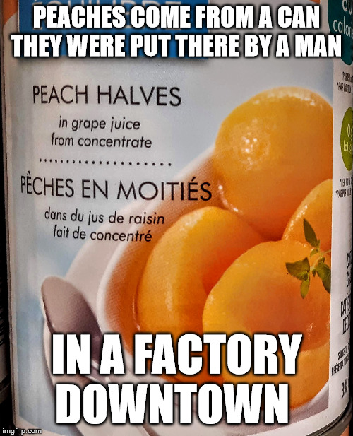 Peaches | PEACHES COME FROM A CAN
THEY WERE PUT THERE BY A MAN; IN A FACTORY DOWNTOWN | image tagged in peaches,fruit,the presidents of the united states of america | made w/ Imgflip meme maker
